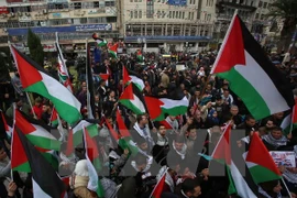 Palestina aboga por solución pacífica al conflicto con Israel
