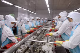 Vietnam busca reducir efectos de advertencia aplicada por UE a sus productos acuáticos