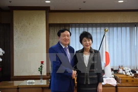 Robustecen lazos Vietnam- Japón en reforma judicial