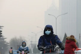 Indonesia asegura a sus vecinos de ASEAN que no habrá problemas de neblina 