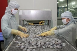 Sector bancario vietnamita busca impulsar asistencia crediticia para PyMEs