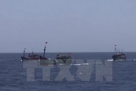 Prohibición de pesca de China en aguas de Vietnam no tiene valor