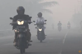 Indonesia detecta 27 puntos con riesgo de de incendio forestal