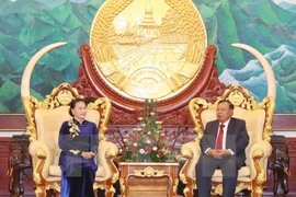 Presidenta del Parlamento vietnamita se reúne con máximo dirigente partidista y presidente de Laos