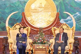 Presidenta del Parlamento vietnamita se reúne con máximo dirigente partidista y presidente de Laos