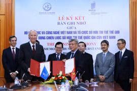 OMPI respalda a Vietnam en diseño de estrategia nacional de propiedad intelectual