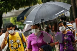 Registran brotes de gripe aviar en Myanmar