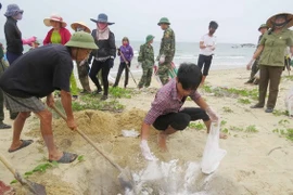Exigen transparencia de compensación a personas afectadas por incidente ambiental en Vietnam 