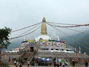 Inician Día Cultural del budismo de India en Vietnam 