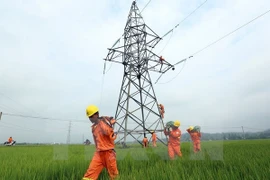 Producción eléctrica de Vietnam registra alto crecimiento