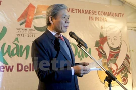 Conmemoran 45 años de establecimiento de lazos Vietnam-India