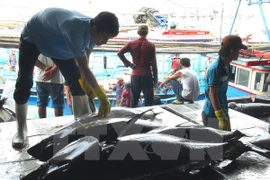 Sector acuícola de Vietnam prevé siete mil millones de dólares por exportaciones