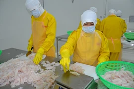 En funcionamiento fábrica de procesamiento de alimentos en Ben Tre 