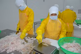 En funcionamiento fábrica de procesamiento de alimentos en Ben Tre 