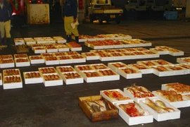 Exportadores japoneses de productos acuícolas muestran interés en Vietnam