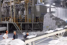 Tailandia despliega programa millonario de aseguramiento del sector arrocero 