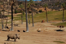 Inauguran nuevo parque safari en provincia central de Vietnam