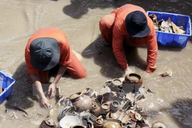 Expertos internacionales prestan atención a cerámica antigua de Vietnam 