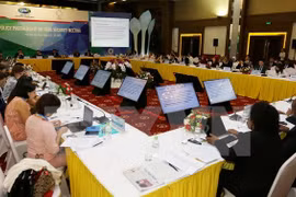  Grupos de trabajo de APEC buscan impulsar la seguridad alimentaria y desarrollo agrícola sostenible