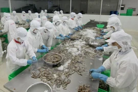 Australia alivia restricciones para importación de camarones 