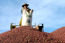 Registran leve aumento de exportaciones agroforestales de Vietnam