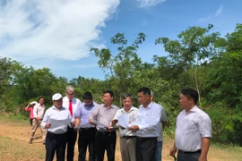 Instalarán en Vietnam estaciones calculadoras de energía solar para promover desarrollo de energías renovables