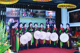Efectúan gala artística de Vietnam en ciudad japonesa en saludo al Tet 