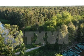 Vietnam recauda fondo millonario por servicios forestales