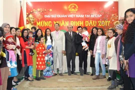 Vietnamitas en Egipto y Camboya celebran el Tet