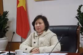 Proponen en Vietnam medidas disciplinarias para viceministra de Industria y Comercio 