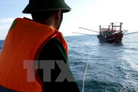 Rescatan a marineros de barco naufragado en aguas de Vietnam