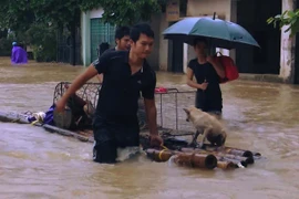 Siete muertes y cuatro desaparecidas en inundaciones registradas en Thanh Hoa