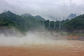 Provincia vietnamita avanza en desarrollo de energías renovables con inversiones extranjeras ​