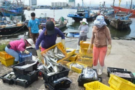 Exportación acuícola vietnamita asciende a casi siete mil millones de dólares en 10 meses