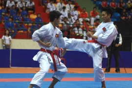 Karatecas vietnamitas ganan 22 medallas de oro en campeonato regional
