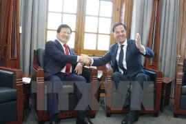 Países Bajos reafirma interés en fomentar cooperación multifacética con Vietnam
