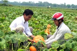 Hanoi moviliza fondos para construcción de nuevas zonas rurales