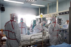 Detectan casos de gripe aviar en zona china adyacente a Vietnam