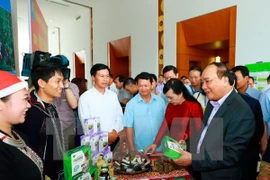 Vietnam estudia medidas para estimular desarrollo de medicina tradicional