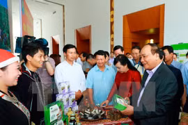 Vietnam estudia medidas para estimular desarrollo de medicina tradicional