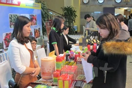 Vietnam impulsa desarrollo de producción industrial en zonas rurales