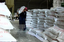Registran fuerte aumento de exportaciones de Delta del río Mekong