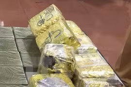 Policía vietnamita incauta 36 mil cápsulas de droga sintética 