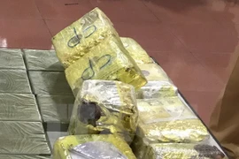 Policía vietnamita incauta 36 mil cápsulas de droga sintética 