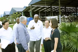 Delegación parlamentaria cubana visita provincia norvietnamita