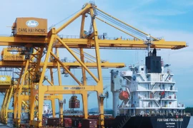 Exportaciones de fertilizantes de Vietnam registran crecimiento 