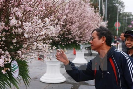 Vietnam honra a funcionario cultural japonés con insignia de amistad 