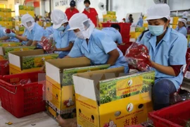 Economías de APEC debaten sobre desafíos de seguridad alimentaria 