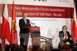 Empresas de Vietnam y Polonia impulsan cooperación