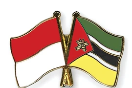 Indonesia y Mozambique fomentan cooperación económica
